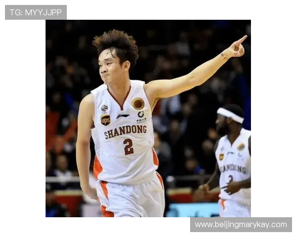 丁彦雨航浴火重生再度启航讲述中国篮球精神与坚持的励志传奇