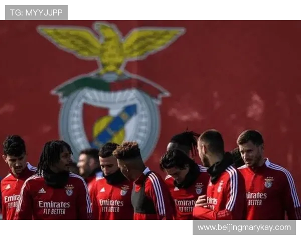 本菲卡辉煌历程与未来展望全面解析球队文化与荣耀传承