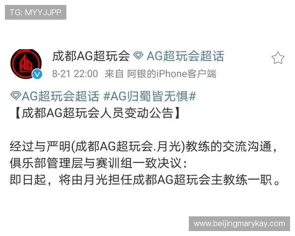 成都飞盘队配合表现分析探讨团队协作与战术执行的关键因素