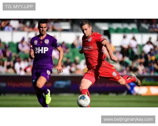 独家解析V5战术对比及其在比赛中的影响与应用