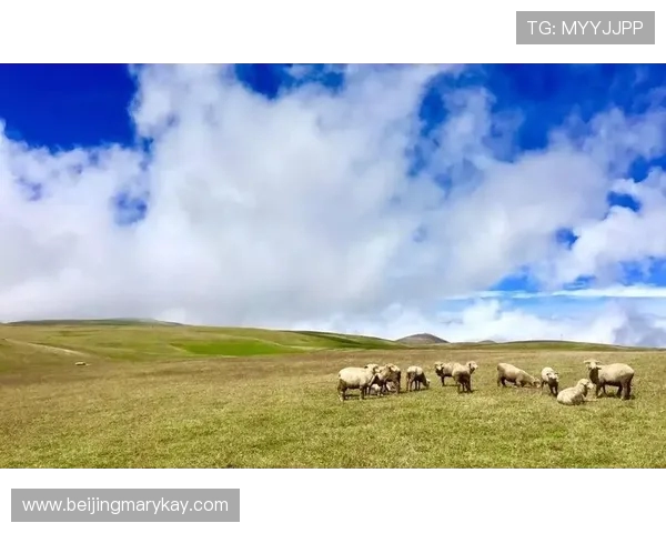 西安攀岩队迎接挑战努力转型争夺极限运动世界杯荣誉