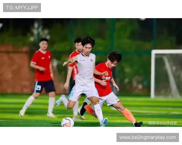 株洲狼腾足球队崛起之路：从地方队到职业舞台的奋斗历程