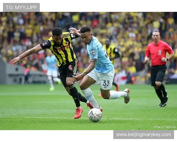 切尔西对西布朗比赛分析与推荐策略分享